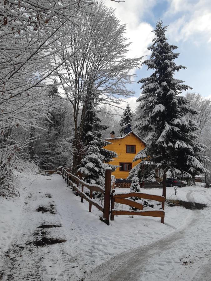 Villa Szilvia Vendeghaz Izvoare  Exterior foto